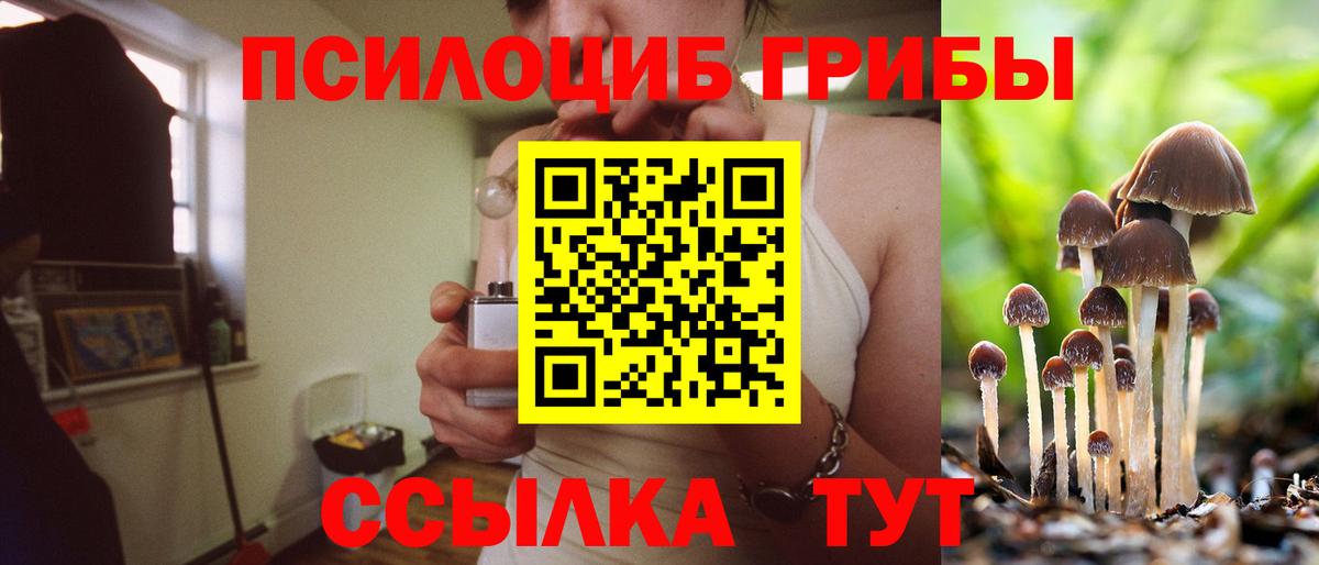 Псилоцибиновые грибы Cubensis  Вход с VPN  Галлюциногенные грибы мицелий  Белгород 