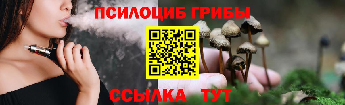 Галлюциногенные грибы Psilocybe Белгород